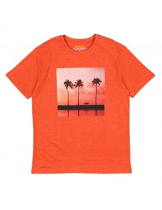 Camiseta Manga Corta...