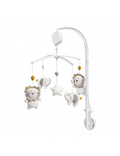 Carrusel Musical León...