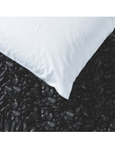 Funda Almohada Luna Cotopur 2