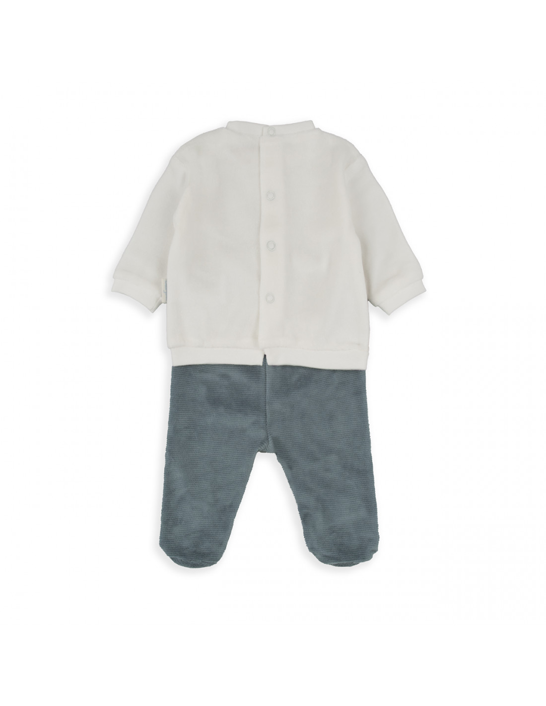 Camiseta + Polaina Tundosado Perritos... Camiseta + Polaina Tundosado Perritos...