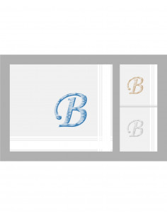 Estuche 3 Pañuelos... 2