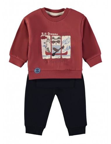 Sudadera Zorro + Pantalón Algodón...
