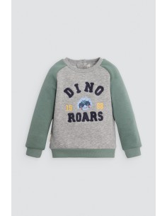 Sudadera Dinosaurio +... 2